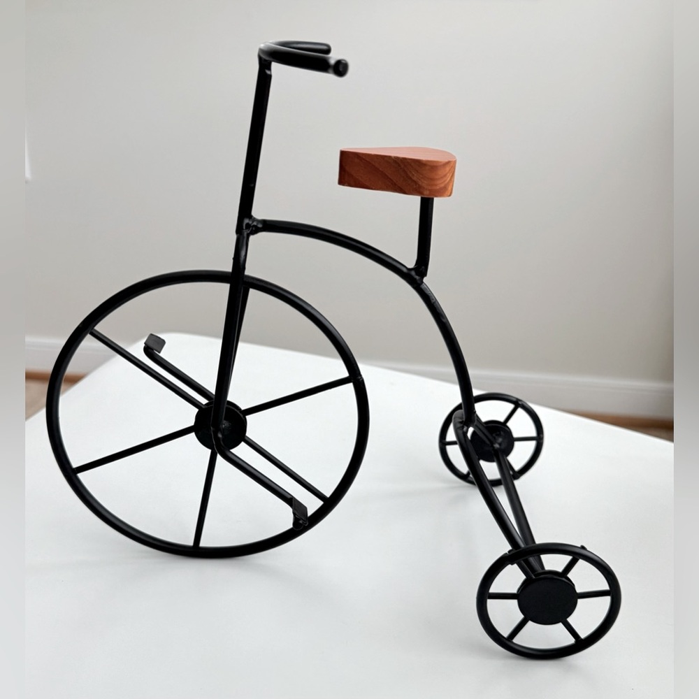 Decorative Bicycle for Home or Office - Picture 9 of 9